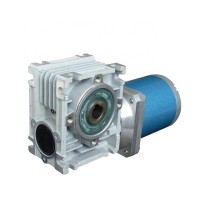 220V 110mm electric motor with reduction gear