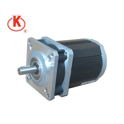 220V 55mm single phase synchronous ac low rpm small gearmotor